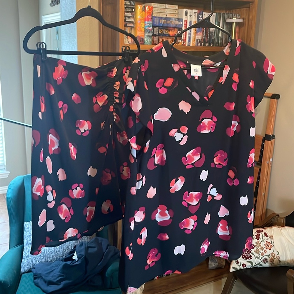 CAbi Petal Blouse (#5523) and Skirt (5513) set